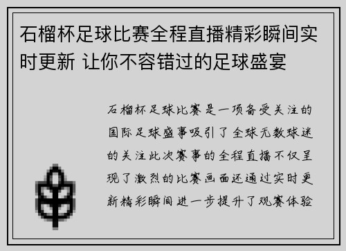 石榴杯足球比赛全程直播精彩瞬间实时更新 让你不容错过的足球盛宴